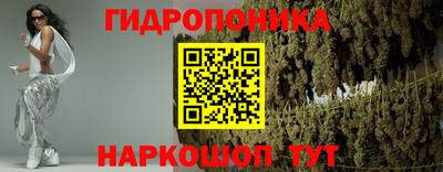 индика Моздок