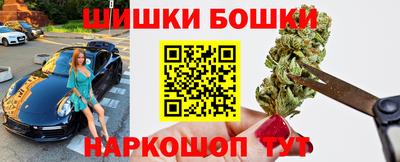 индика Моздок