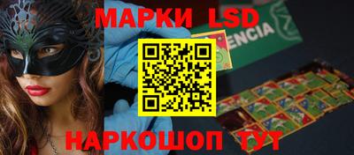 индика Моздок