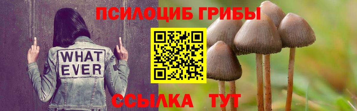Псилоцибиновые грибы MAGIC MUSHROOMS  Вход с VPN  наркошоп  Галлюциногенные грибы Cubensis  Туймазы 